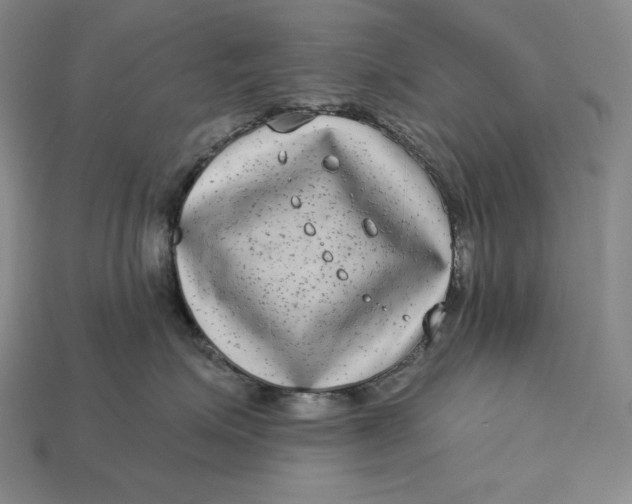 X0000112890623200909111505