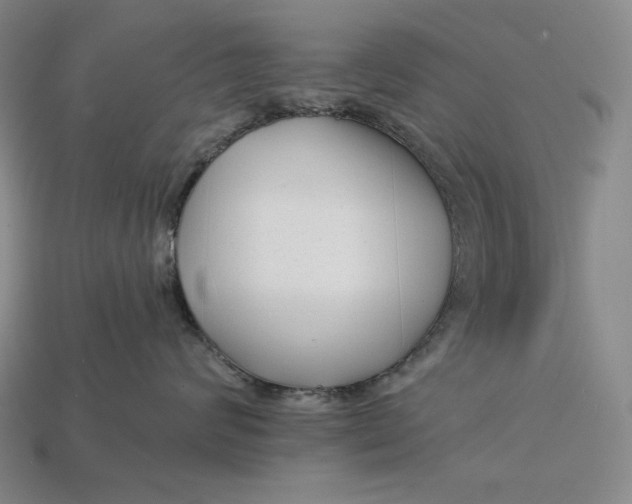 X0000112890624200909111505