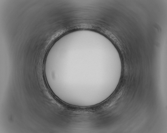 X0000112890625200909111504