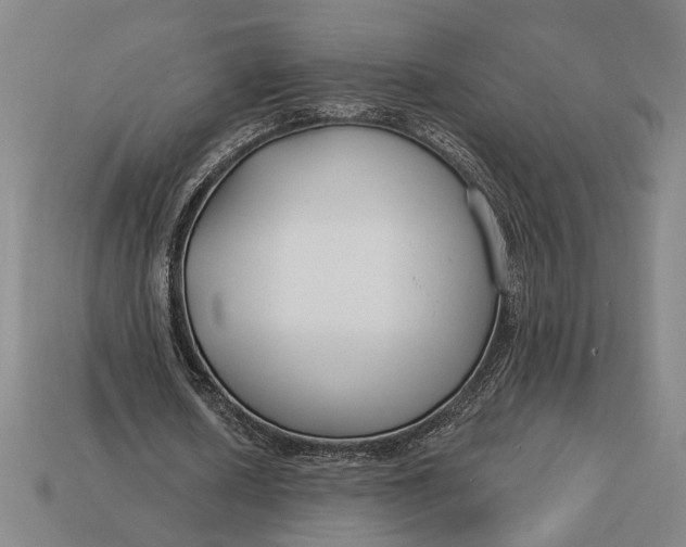 X0000112890626200909111504