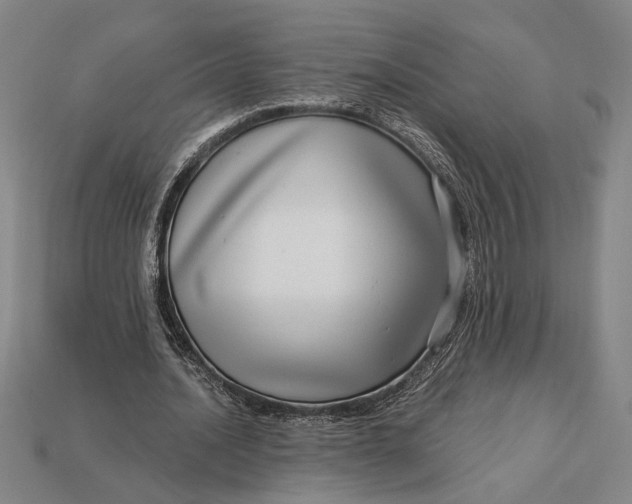 X0000112890628200909111504