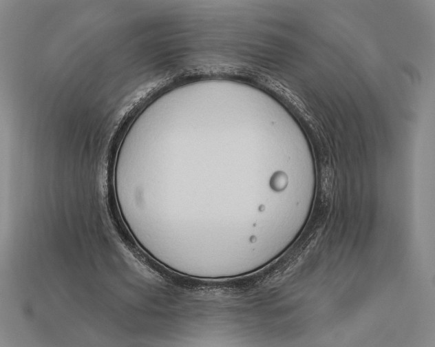 X0000112890629200909111504