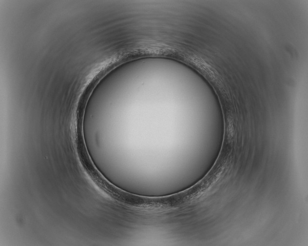 X0000112890630200909111504
