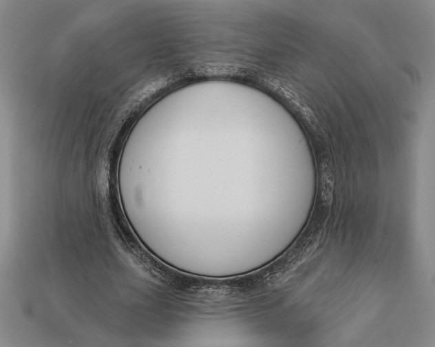 X0000112890631200909111504