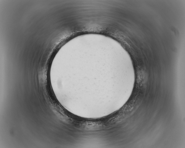 X0000112890632200909111504