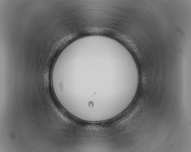X0000112890633200909111504