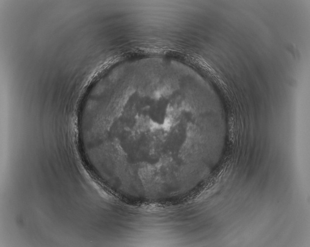 X0000112890634200909111504