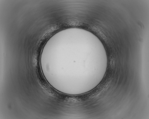 X0000112890635200909111504