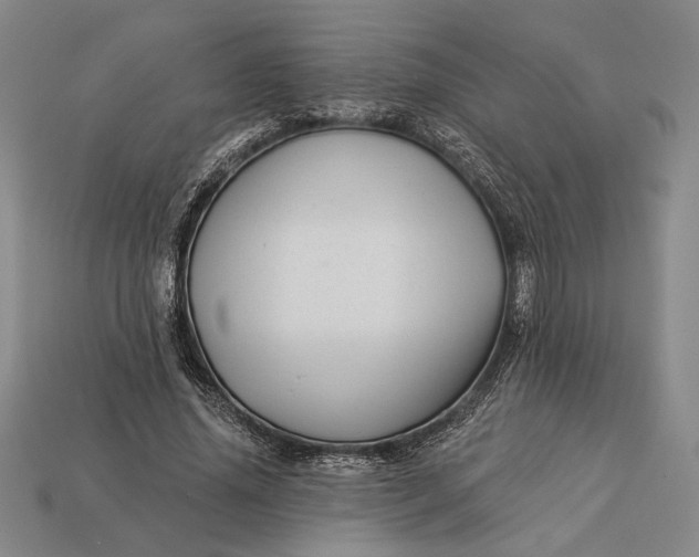 X0000112890636200909111505