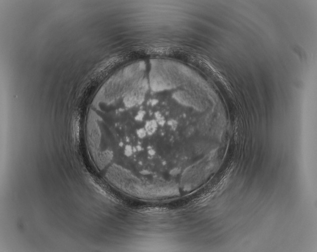 X0000112890637200909111505