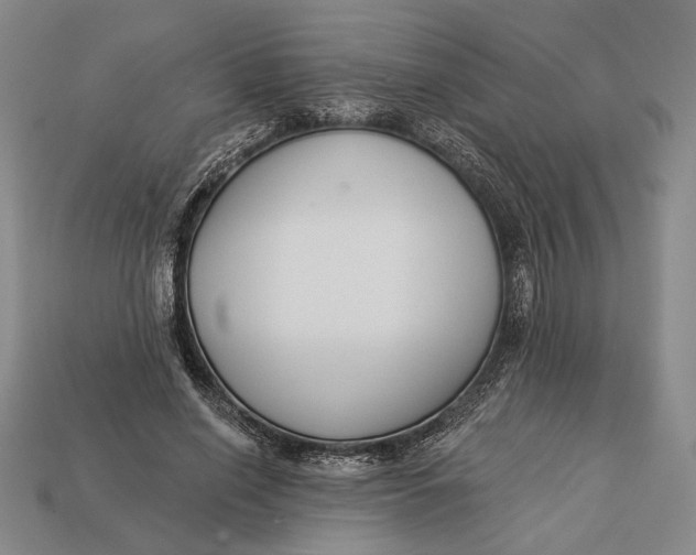 X0000112890638200909111505