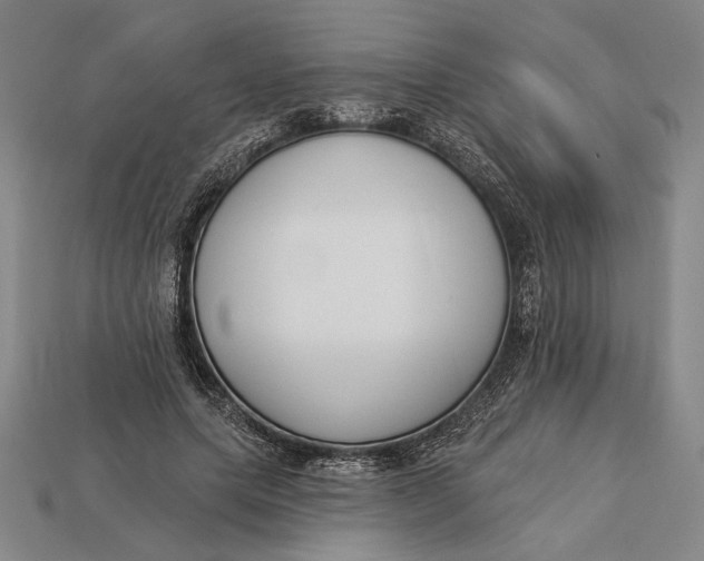 X0000112890639200909111505