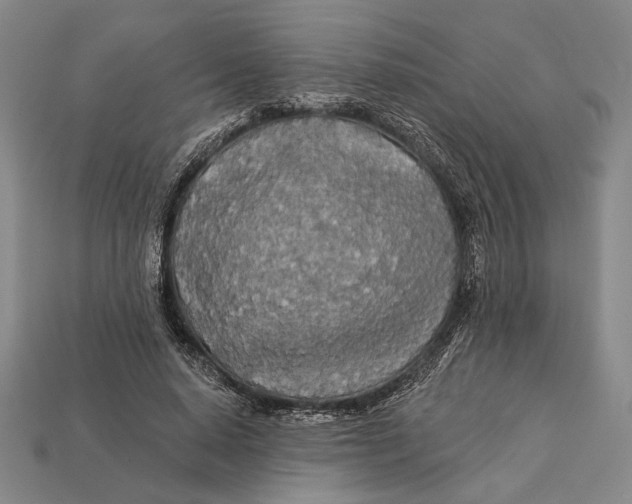 X0000112890640200909111505