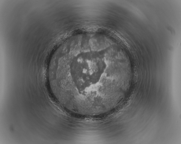 X0000112890641200909111505