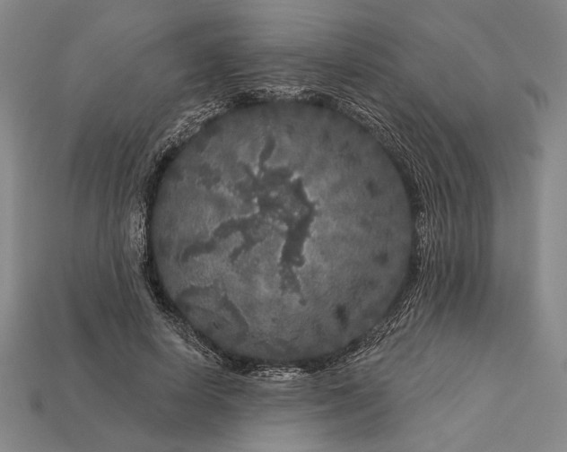 X0000112890642200909111505