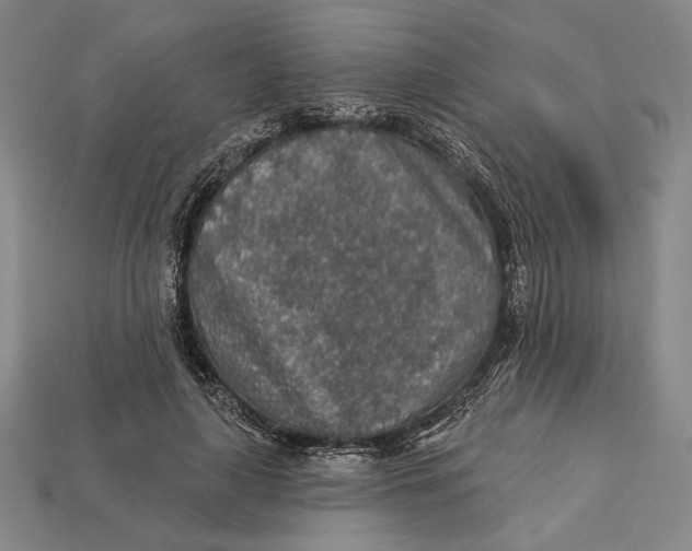 X0000112890643200909111505
