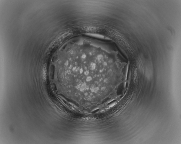 X0000112890644200909111505