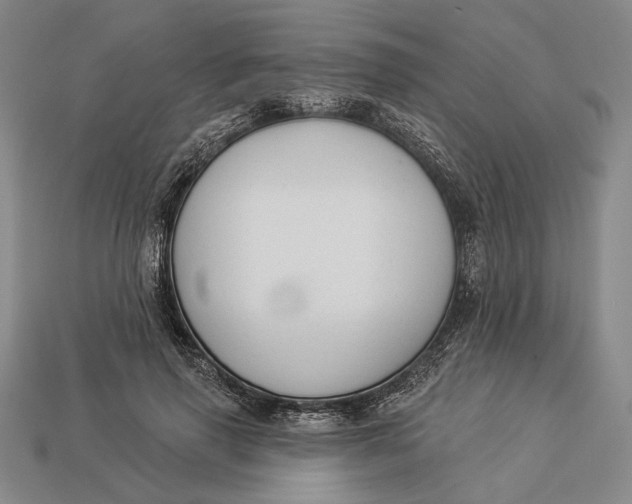 X0000112890645200909111505