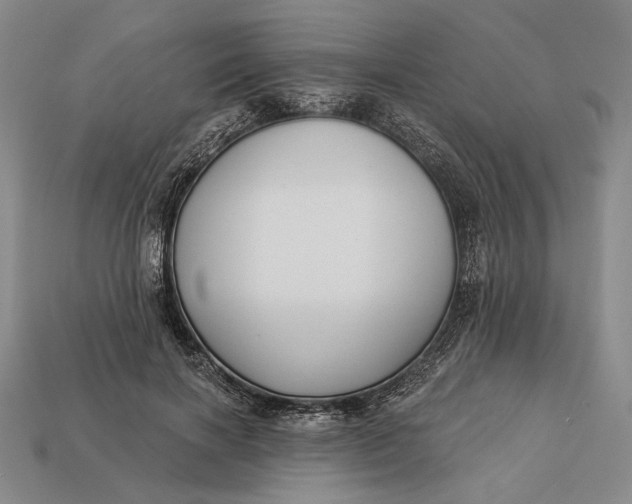 X0000112890646200909111505