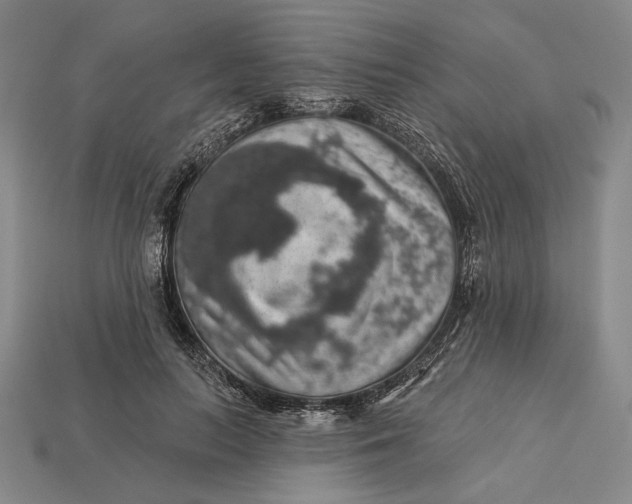 X0000112890647200909111505