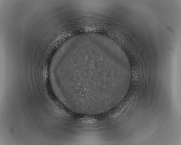 X0000112890648200909111505