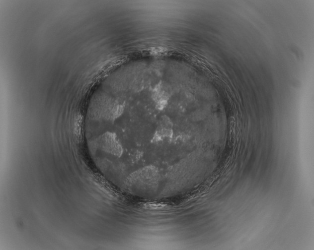 X0000112890650200909111505