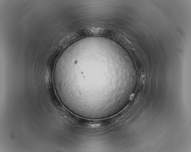 X0000112890651200909111505