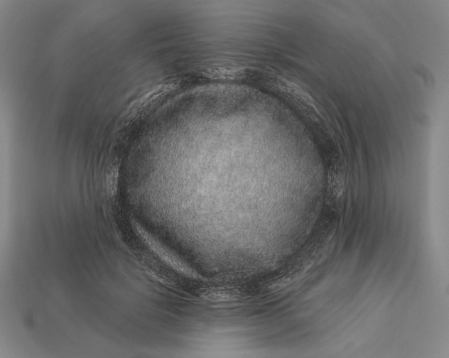 X0000112890652200909111505