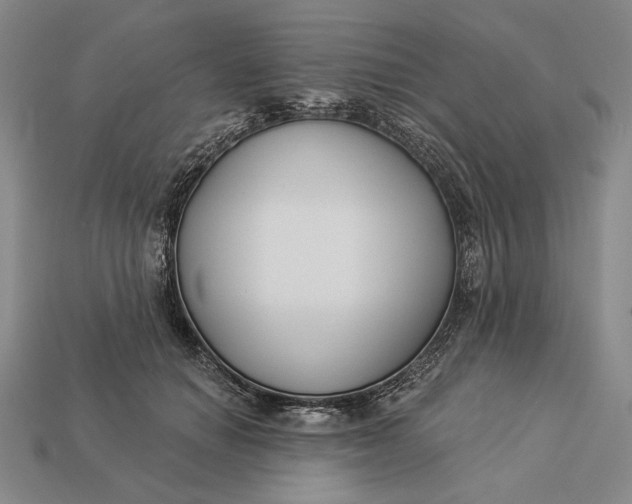 X0000112890654200909111505