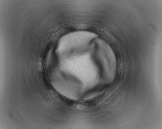X0000112890655200909111505