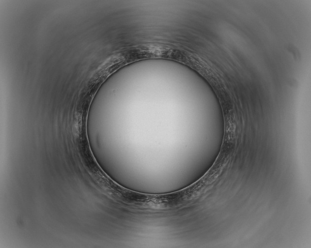 X0000112890656200909111505