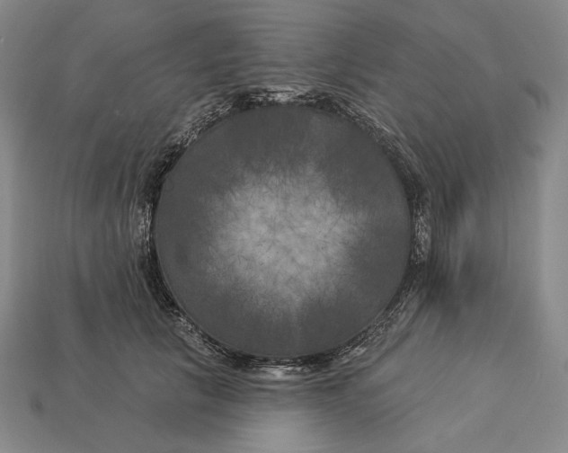 X0000112890657200909111505