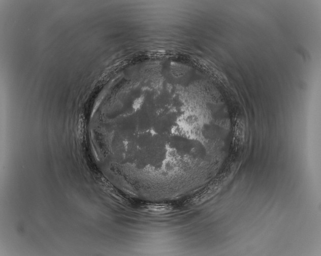X0000112890659200909111505