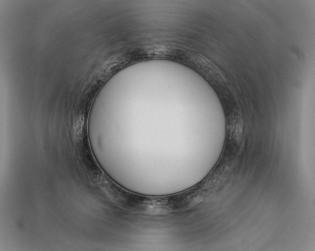 X0000112890660200909111505