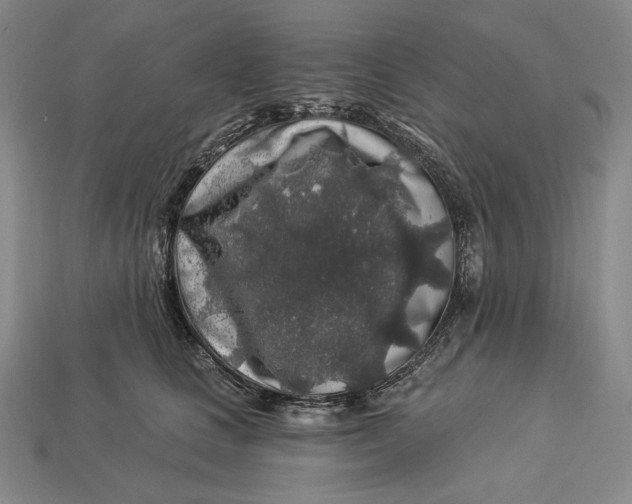 X0000112890661200909111505