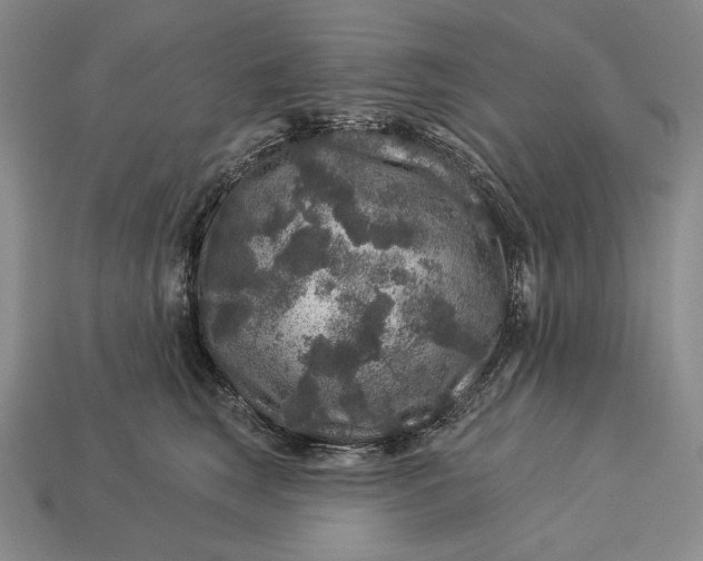 X0000112890663200909111505