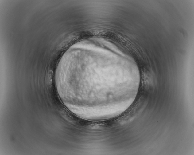 X0000112890664200909111505