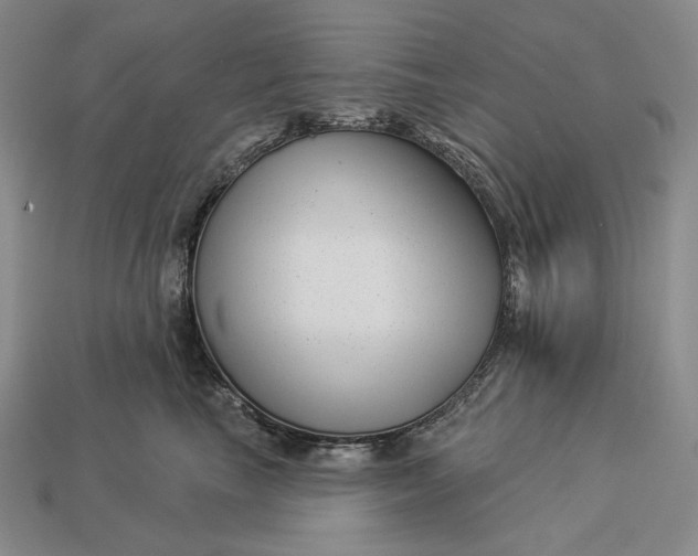 X0000112890665200909111505