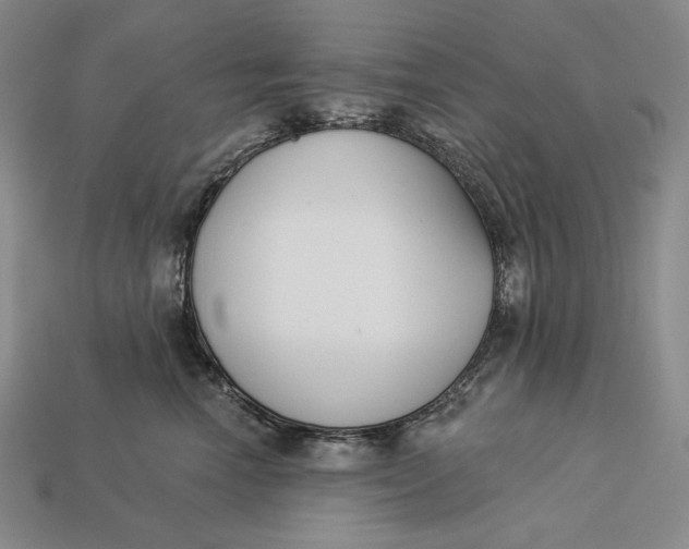 X0000112890666200909111505
