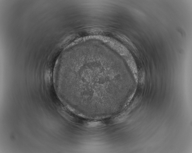 X0000112890669200909111505
