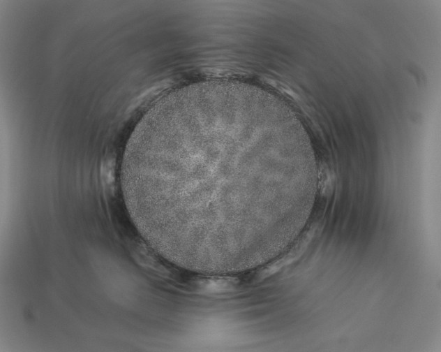 X0000112890670200909111505