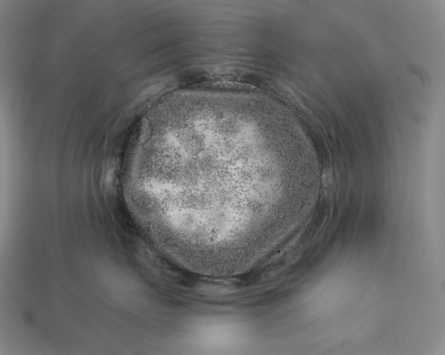 X0000112890671200909111505
