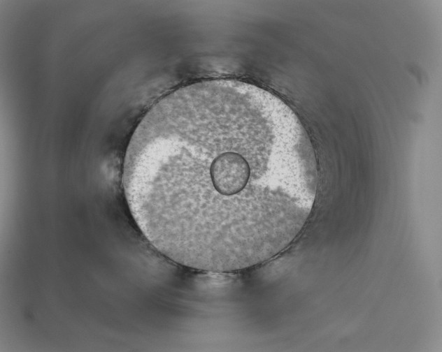 X0000112890672200909111505