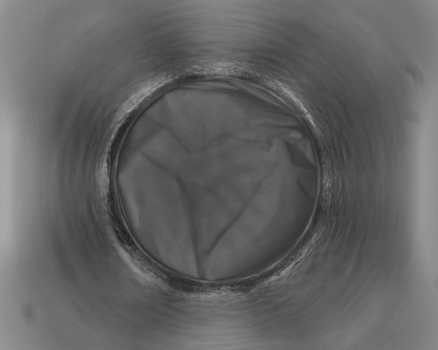 X0000112890674200909111504
