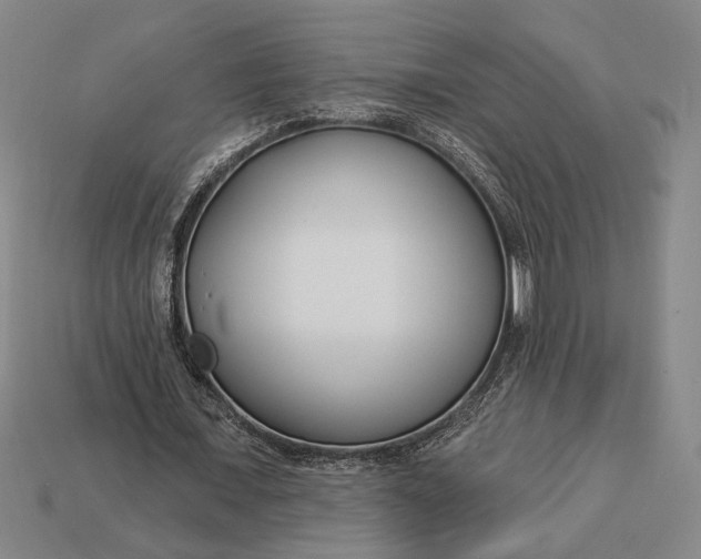 X0000112890675200909111504