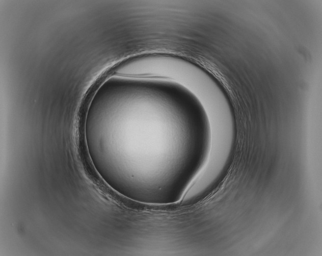 X0000112890676200909111504