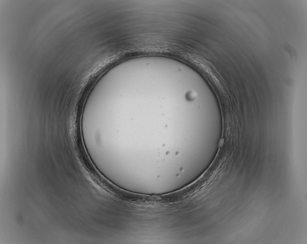 X0000112890677200909111504