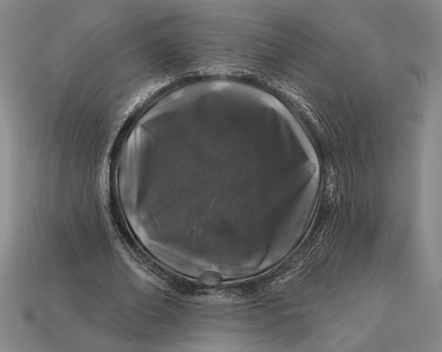 X0000112890678200909111504