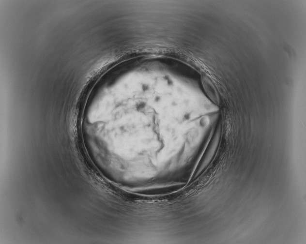 X0000112890679200909111504