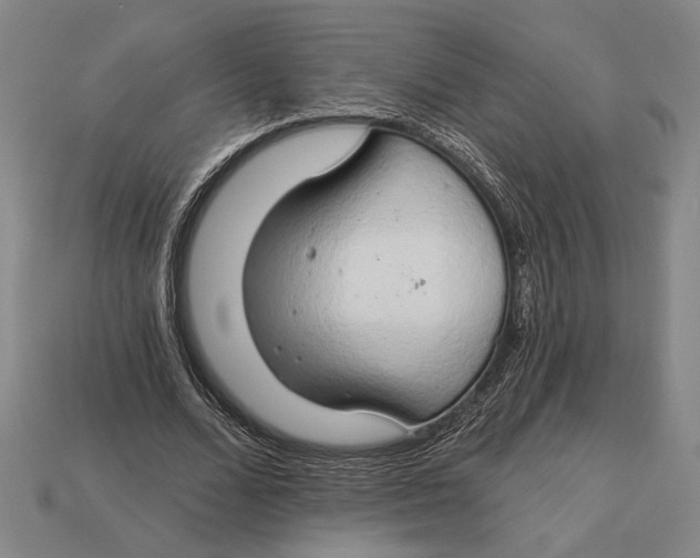 X0000112890680200909111504